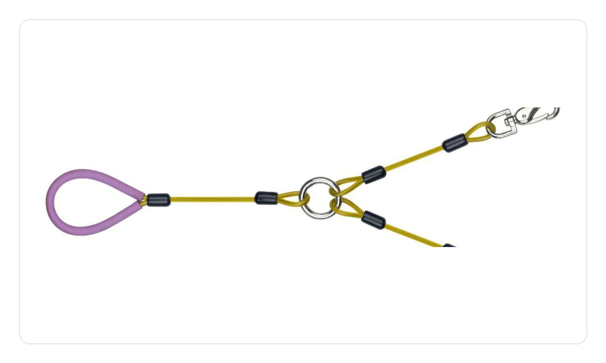 Split Y safety lanyard cable for multi-point audio accessory retention